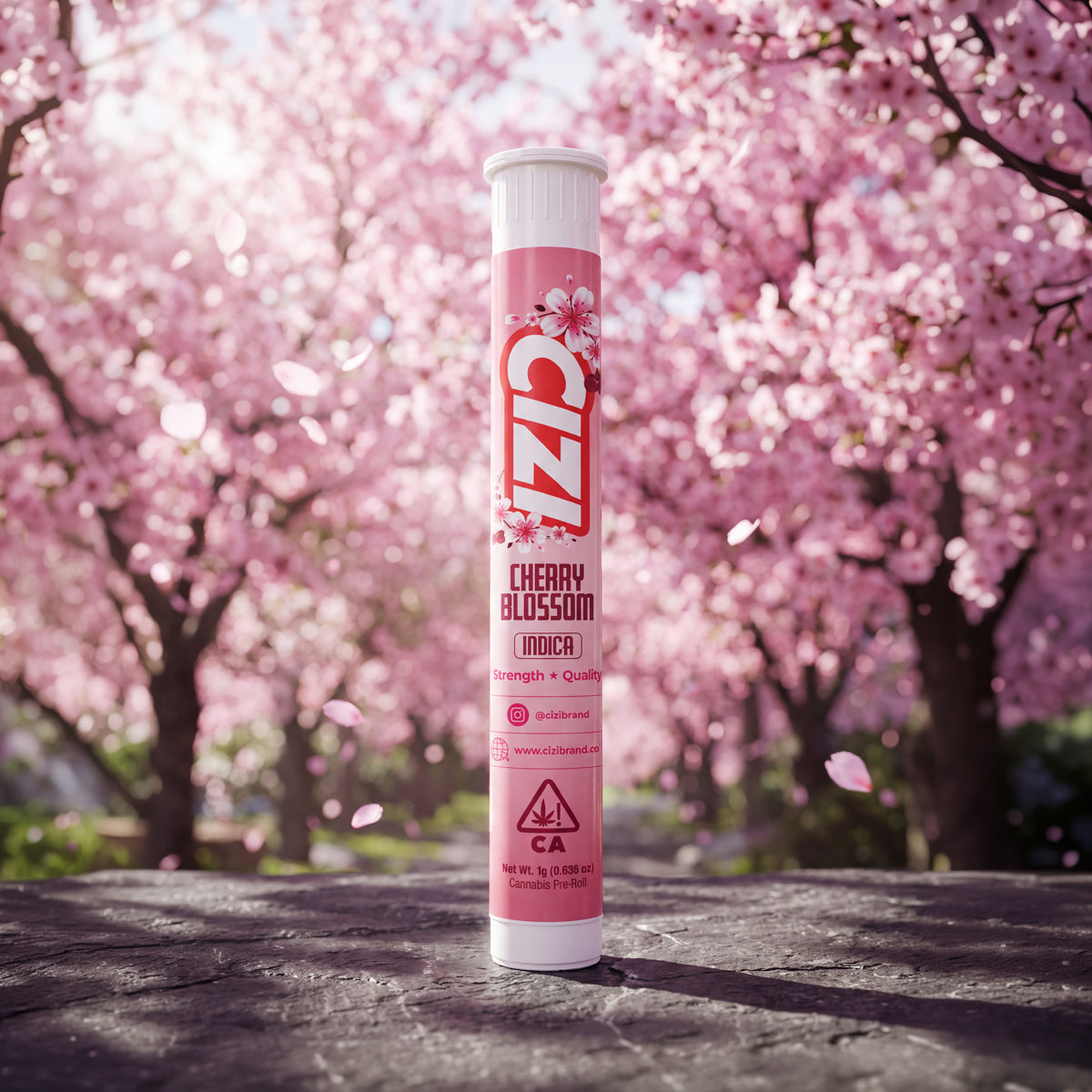 Cherry Blossom